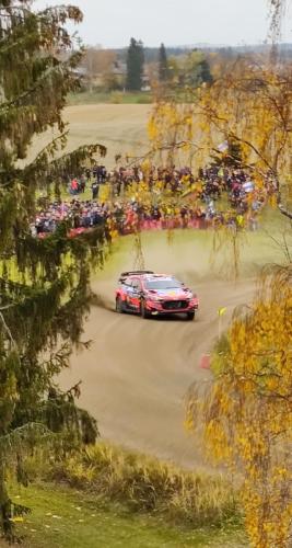 Kakaristo autumn 2021